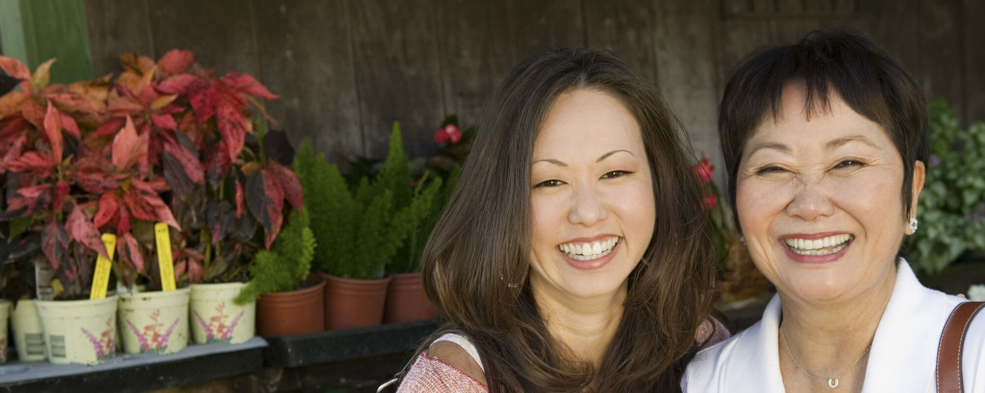 Roslyn Orthodontist, Orthodontics Port Washington Orthodontist